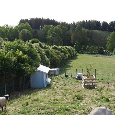 Aston Road Villa Bed & Breakfast Waikanae Eksteriør billede
